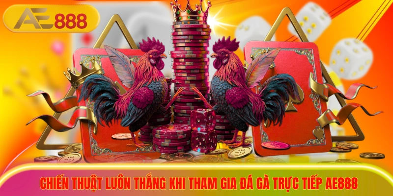 Đá Gà Trực Tiếp AE888 - Thiên Đường Nảy Lửa Cho Kê Thủ Chiến thuật luôn thắng khi tham gia đá gà trực tiếp ae888