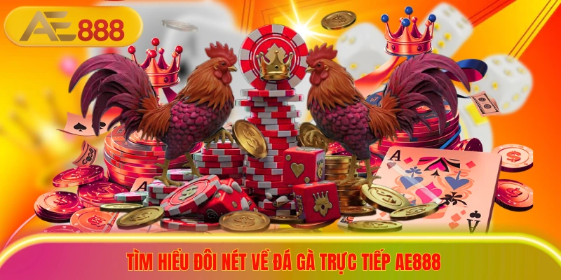 Đá Gà Trực Tiếp AE888 - Thiên Đường Nảy Lửa Cho Kê Thủ Tìm hiểu đôi nét về đá gà trực tiếp ae888