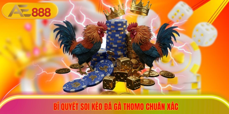 Xem Trực Tiếp Đá Gà Thomo Hôm Nay Với 99 Trận Đấu Nảy Lửa Bí quyết soi kèo đá gà thomo chuẩn xác